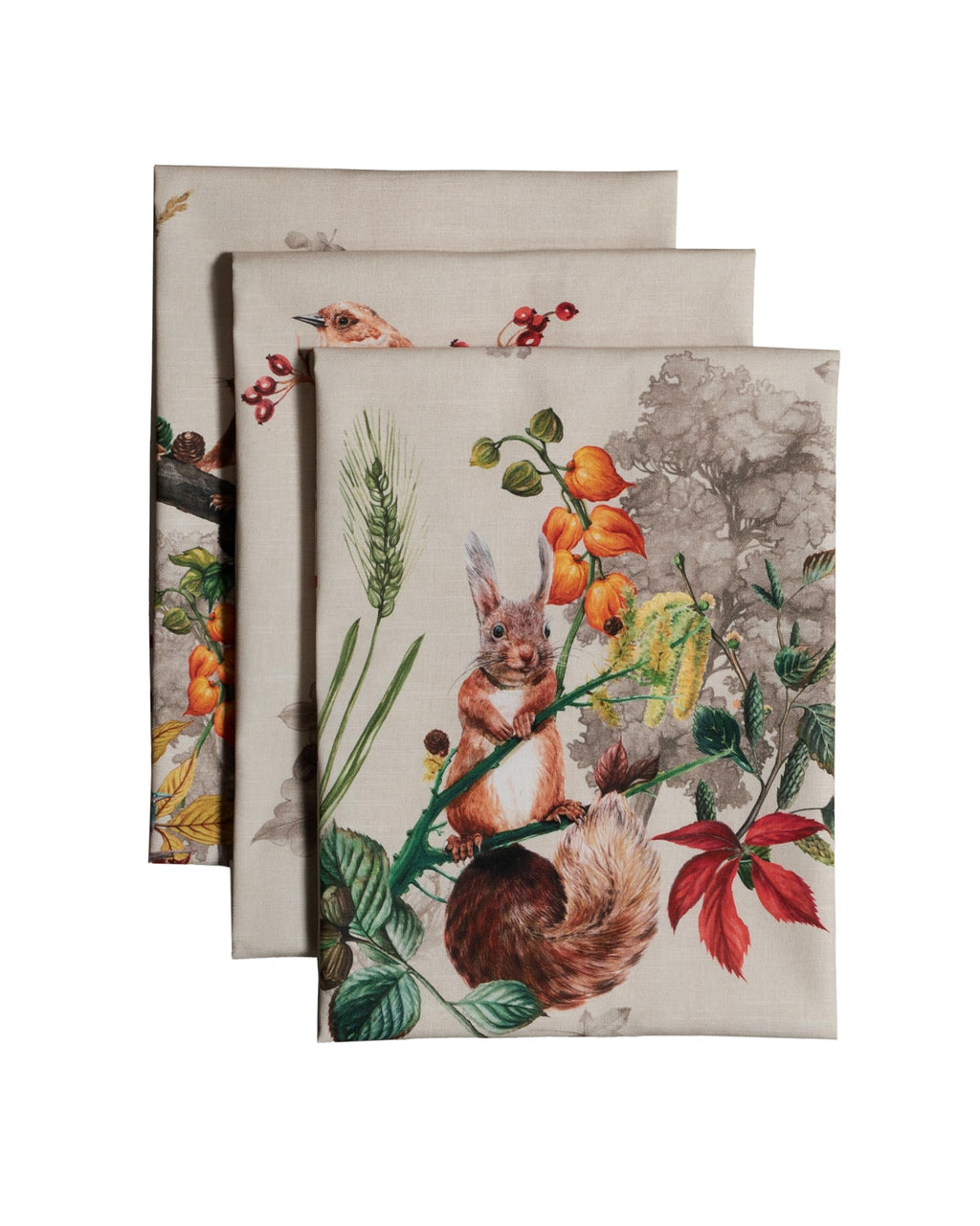 Recolte Kitchen Towels