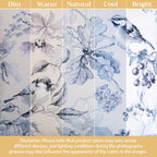 Equinoxe Curtains